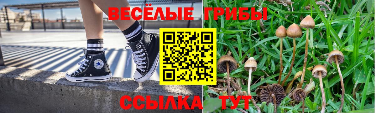 Галлюциногенные грибы Magic Shrooms  Псилоцибиновые грибы ЛСД  Каменск-Шахтинский  Вход с VPN 