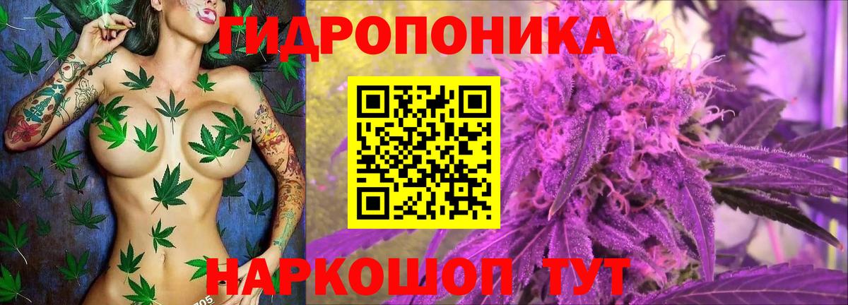 Канабис White Widow  Вход с VPN  Каменск-Шахтинский  Каннабис планчик 
